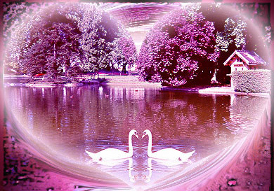 Racine de mon coeur